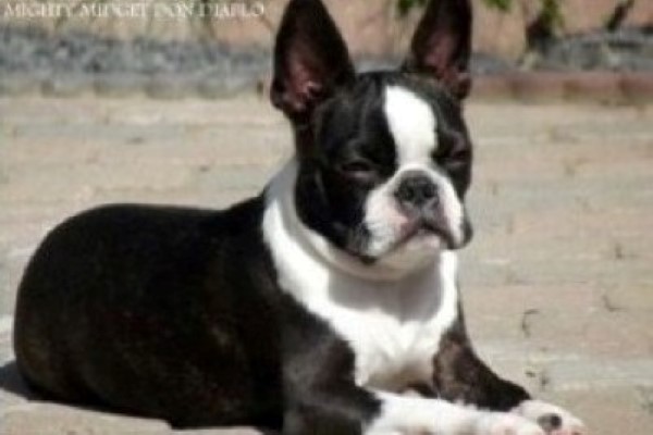 hutch